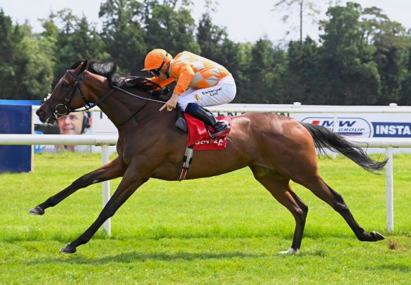 Dancing Teapot (camelot) Wins Her Maiden At Gowran