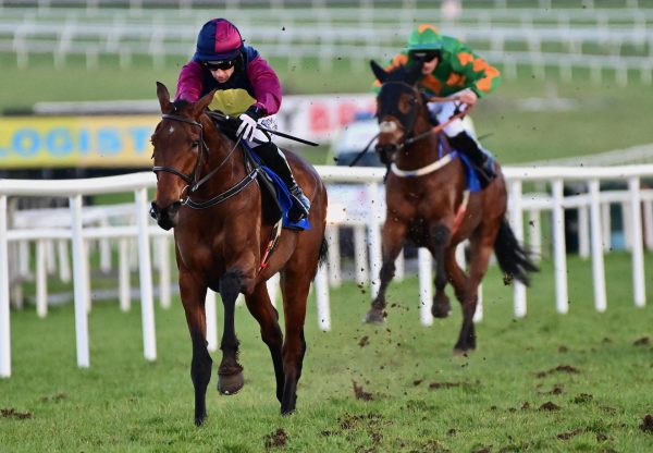 Dani Donadoni (Order of St George) Wins On Debut At Limerick