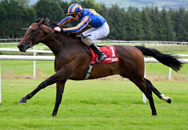 Daytona (wootton bassett) Wins On Debut At Gowran Park