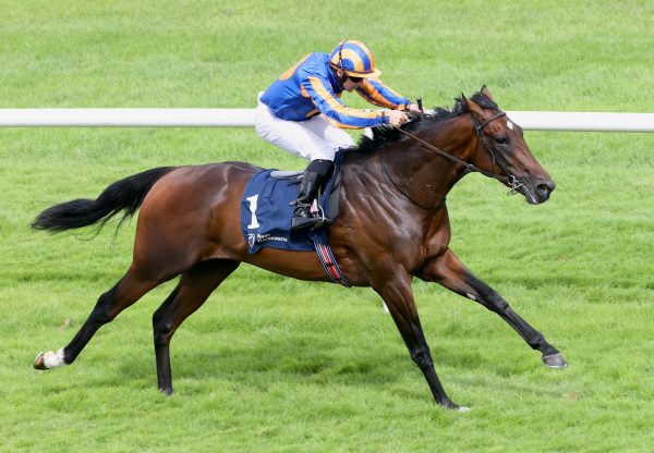 Daytona (wootton bassett) Wins The Listed Pat Smullen Stakes