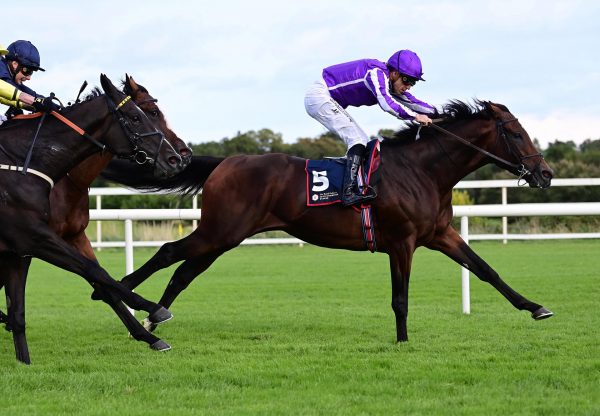 Delacroix Dubawi Leopardstown
