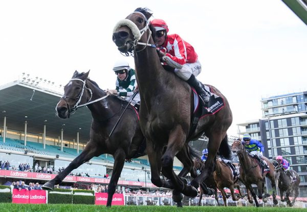 Desert Lightning (pride of dubai) Syt 750