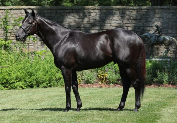 Domestic Product Conformation Website