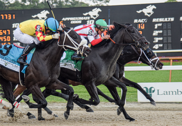 Domestic Product (Practical Joke) Wins Gr.3 Tampa Bay Derby