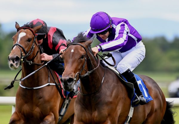 Easy Mover (Wotton Bassett) Wins On Debut At Fairyhouse