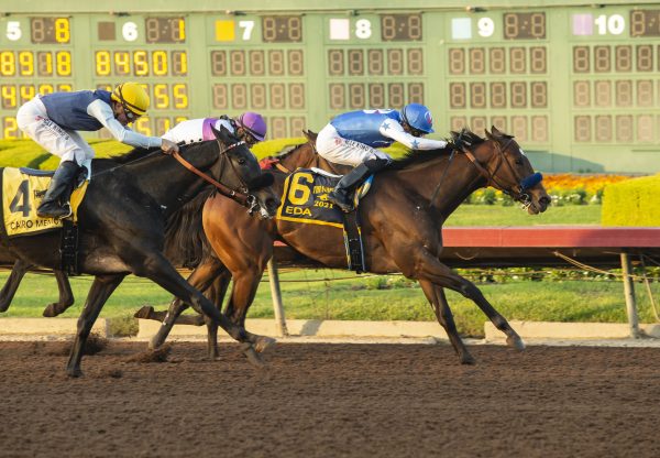 Eda (Munnings) winning the Gr.1 Starlet Stakes at Los Alamitos