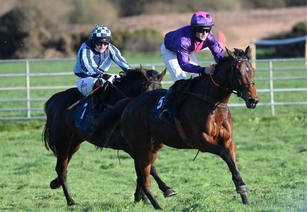 Elderflower Tonic Maxios Lingstown
