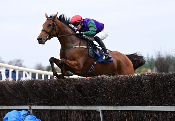 Elusive Dreams Loughrea 39