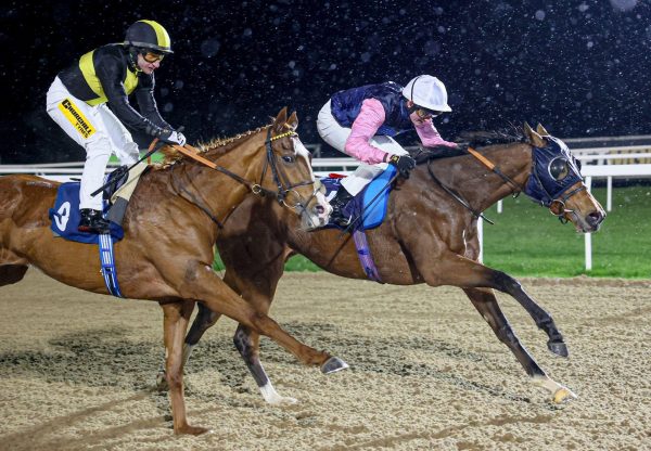 Emmas Letter Saxon Warrior Newcastle