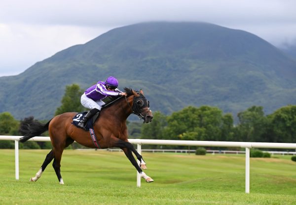 Emphasis (Magna Grecia) Wins His Maiden At Killarney