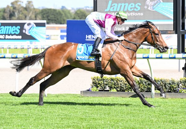 Enamorada So You Think Ballarat 750