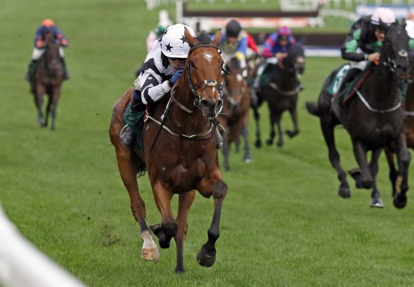Encanto Bruno (Mahler) Winning A Bumper At Cheltenham