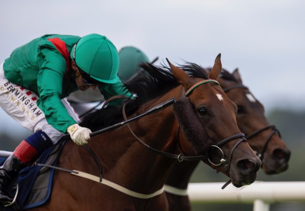 Esherann (wootton bassett) Wins At Naas