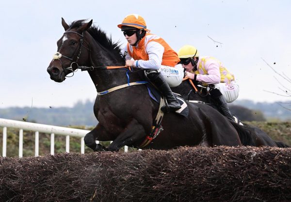 Eskylady Maxios Loughanmore