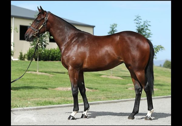 Fastnet Rock ex Ten Carat Rock filly