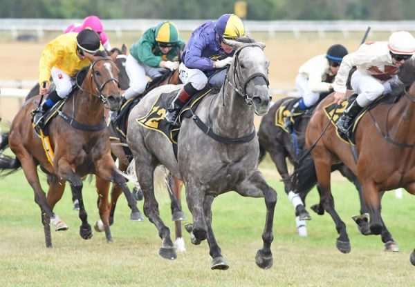 Flavigny (Mastercraftsman) winning the Listed WRC/Pope & Gray Contractors Thoroughbred Breeders’ Stakes at Tauherenikau