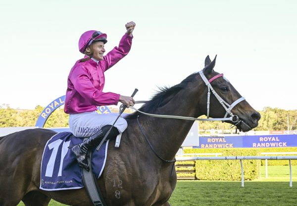 Fangirl Channel 7 2025 750