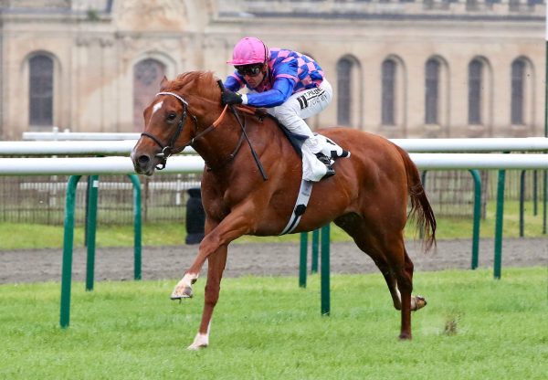 Fast Tracker (Churchill) Wins The Listed Prix De Suresnes