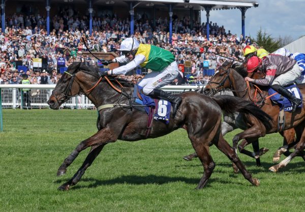 Favour And Fortune (Soldier of Fortune) Wins Grade 2 Scottish Champion Hurdle