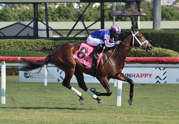 Fighting Force (Air Force Blue) Breaks Maiden At Gulfstream Park