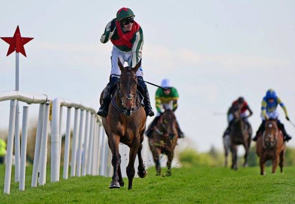 Final Demand (walk in the park) Wins The Grade 1 Champion Novice Hurdle At Punchestown
