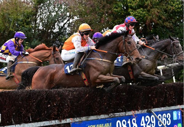 Finisk Pride Wings Of Eagles Tinahely