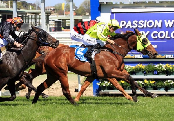 Firehouse Rock (Fastnet Rock)