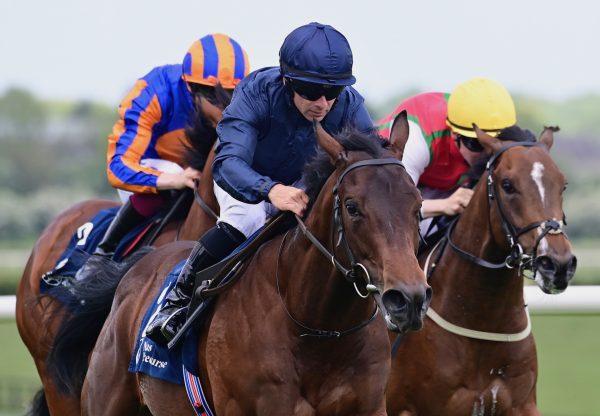 First Approach (Wootton Bassett) Wins His Maiden At Naas