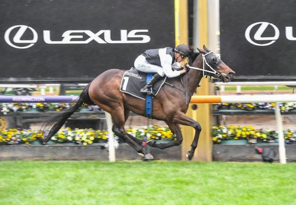 First Immortal (Churchill) wins the Mahogany Challenge Final at Flemington