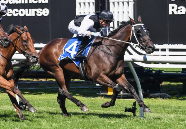First Immortal (Churchill) winning the Listed MRC Anniversary Vase at Caulfield