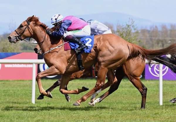 Fizzical (Starspangledbanner) Wins On Debut At Limerick