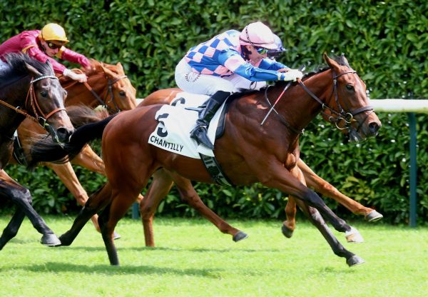 Fly Half (No Nay Never) Wins On Debut