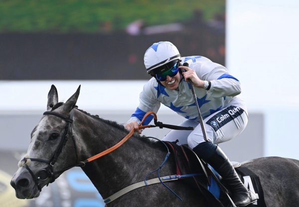 Frankie John (walk in the park) Wins At Galway