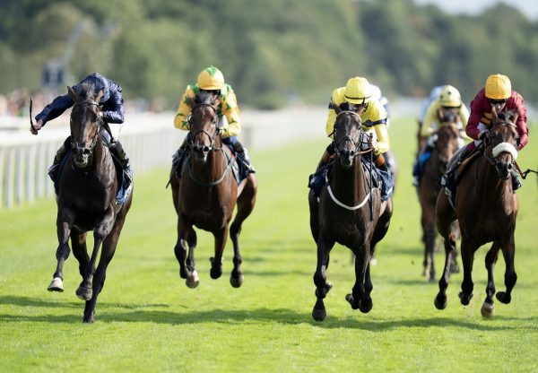 Frescobaldi (no nay never) York