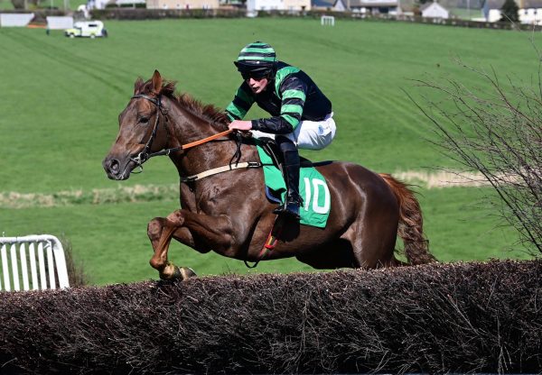 Freshers Week (Crystal Ocean) Wins The 4 Yo Maiden At Taylorstown