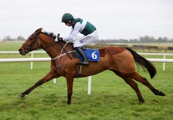 Future Prospect (Order of St George) Wins Rules Debut At Fairyhouse