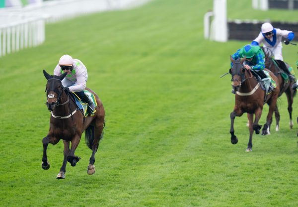 Gaelic Warrior (Maxios) Wins The Oaksey Chase