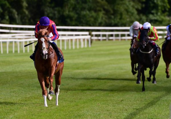 Galen (Gleneagles) Impresses At Killarney