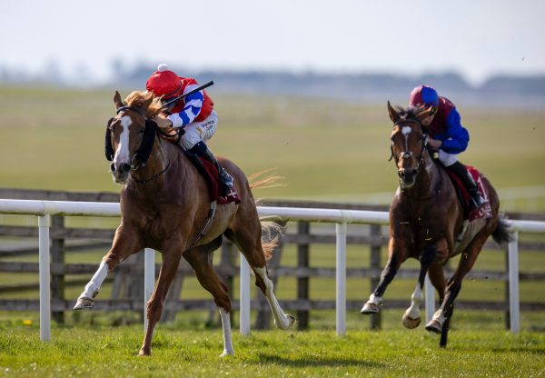 Galen (Gleneagles) Wins The Alleged Stakes