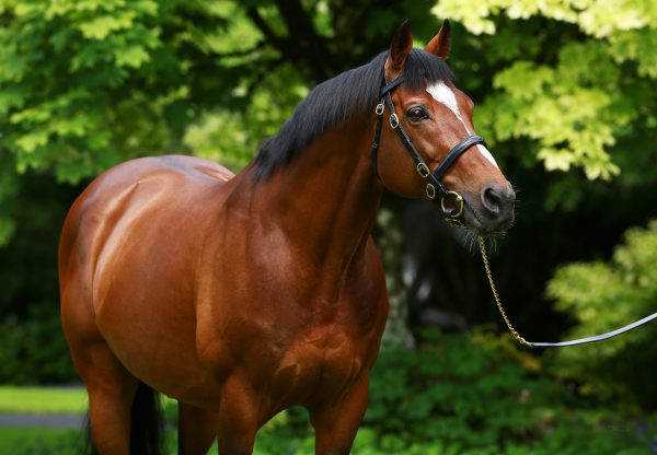 Galileo Head Shot3 Web