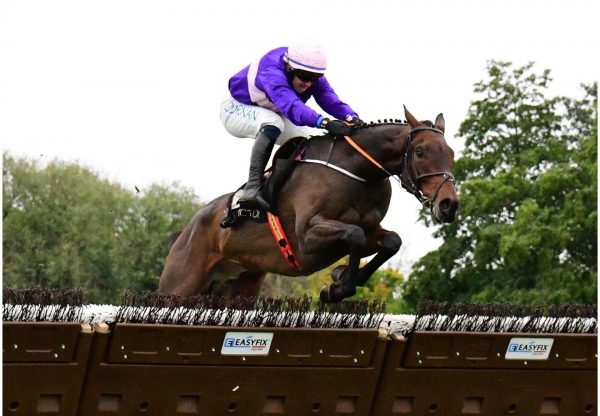 Gameball Yeats Punchestown