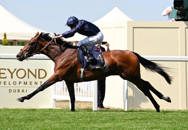Garden Of Eden (saxon warrior) Wins The Ribblesdale Stakes At Royal Ascot
