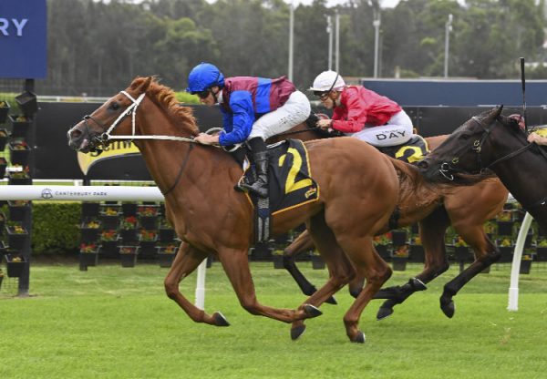 Gatekeeper (Justify) Canterbury 750