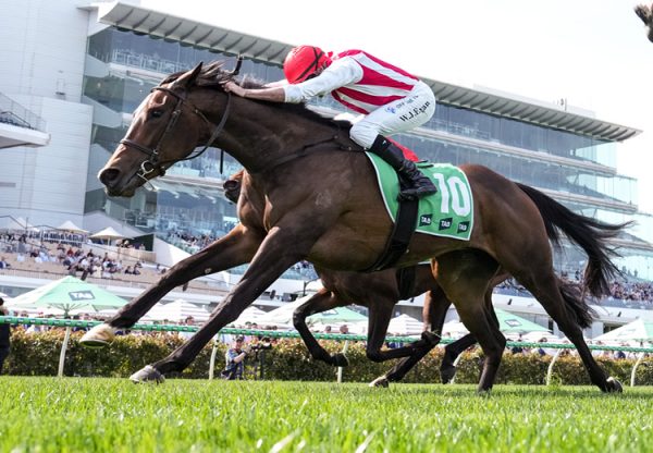 Getta Good Feeling so you think Flemington 750