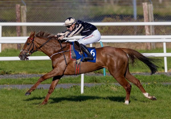 Good Girl Kathleen (Getaway) Wins The Mares Bumper At Limerick