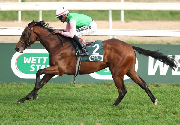 Gostam Saxon Warrior Cologne