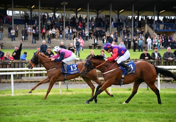 Grande Marques (Starspangledbanner) Tipperary