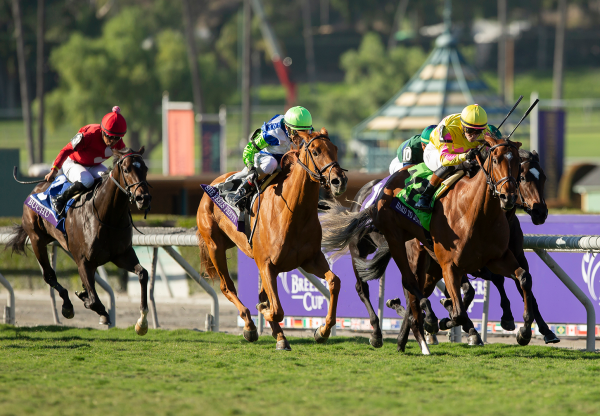 Hard To Justify (Justify) Wins Gr.1 Breeders Cup Juvenile Fillies Turf at Santa Anita