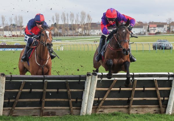 Hay Meadow (Wings Of Eagles) Ayr Novice Hurdle
