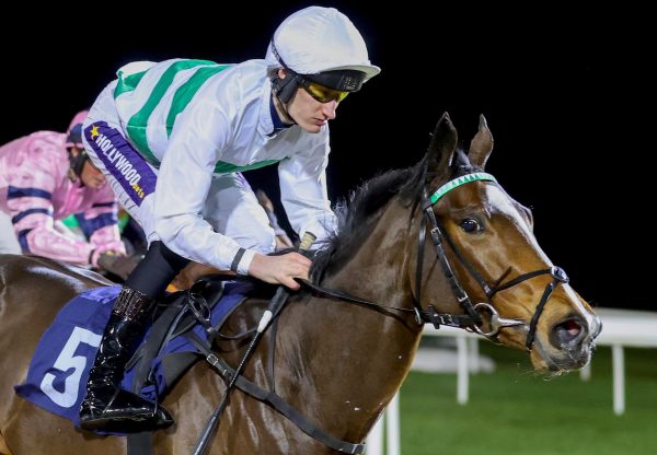 Heartwarmer (Holy Roman Emperor) Wins On Debut at Newcastle